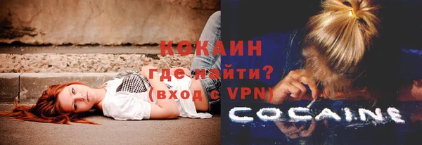 дурь Калининец