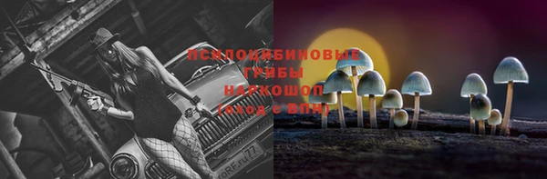 соль ск Заволжье