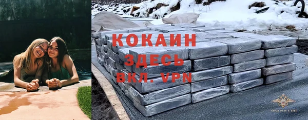 дживик Зерноград