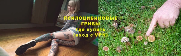 дживик Зерноград